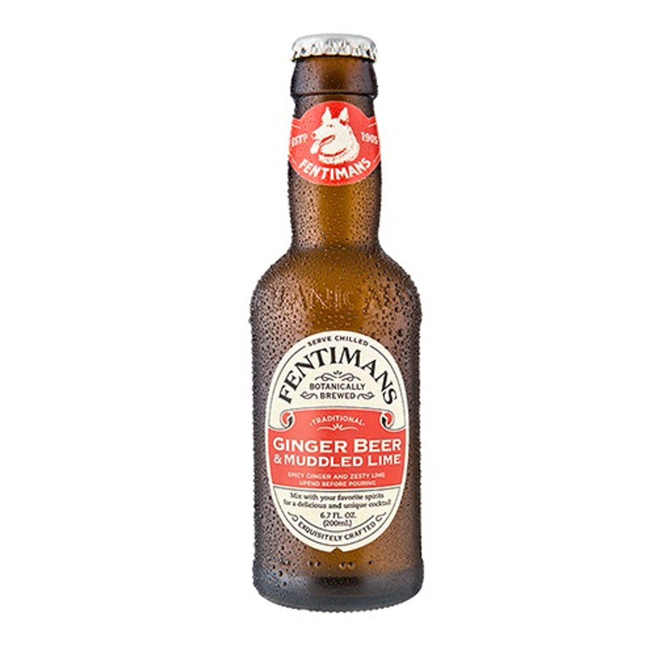 Fentimans Ginger Beer & Muddled Lime 200ml (Case of 24) - Three Lions Pantry