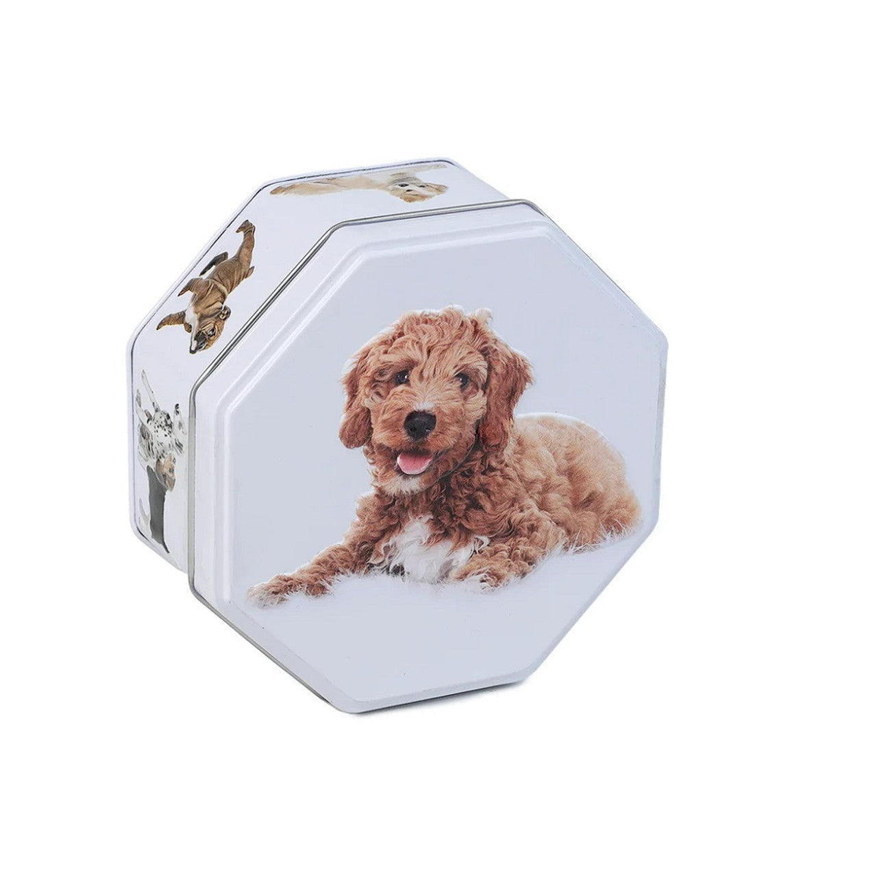 Campbells Shortbread Dog Tin Petticoat Tails 115g (Case of 12) - Three Lions Pantry